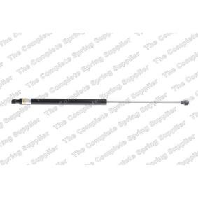 Heckklappendämpfer 450053 für RENAULT
