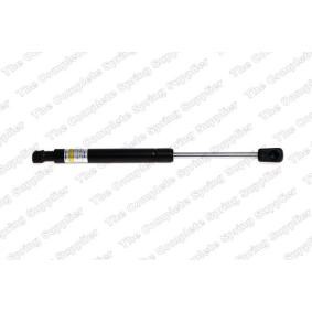 Comprar Amortiguador de maletero de KILEN 454025 a bajo precio de 21,35 €