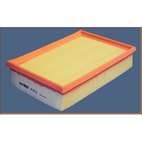 Luftfilter P019 für SKODA
