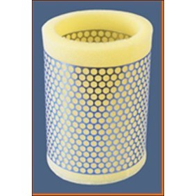 Luftfilter R843