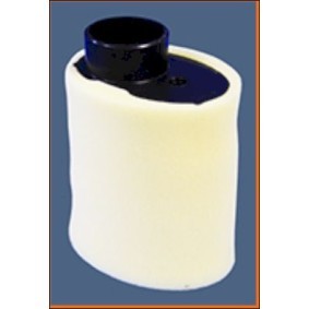 Luftfilter für PEUGEOT von MISFAT