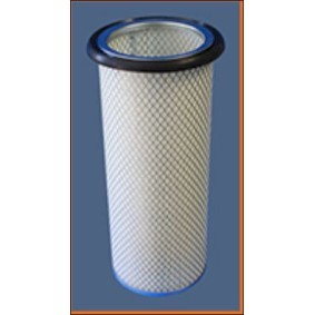 Sekundärluftfilter R894 für FIAT