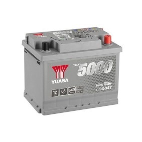 Batterie YBX5027