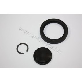 Reparatursatz, Schaltgetriebeflansch 304980085020G