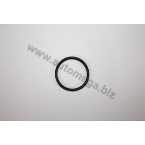 Dichtung, Kühlmittelflansch 101210687037