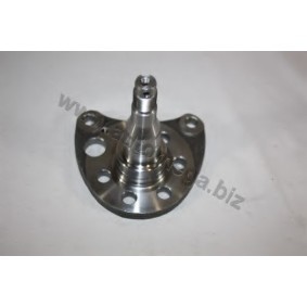 Achetez des Moyeu de roue AUTOMEGA 305010117333 à prix pour 16,62 €