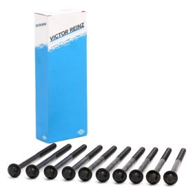 Compre Jogo de parafusos da cabeça do motor da REINZ 14-10398-01 a um preço baixo por 36,19 €