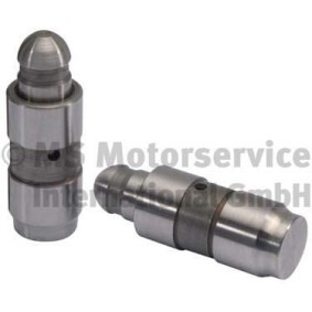 Hydrostößel 50006493 für BMW