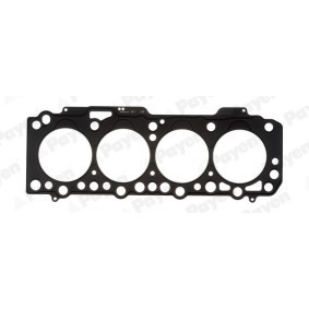 Acquista Guarnizione testata da PAYEN AG5180 a buon mercato per soli 51,54 €