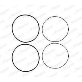 Acquista Kit guarnizioni, Canna cilindro da PAYEN HL5191 a buon mercato per soli 12,29 €