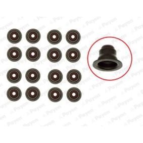 Comprar Juego de juntas, vástago de válvula de PAYEN HR5095 a bajo precio de 36,16 €