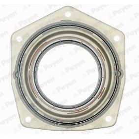Achetez des Bague d'étanchéité, vilebrequin PAYEN LK5000 à prix pour 67,26 €