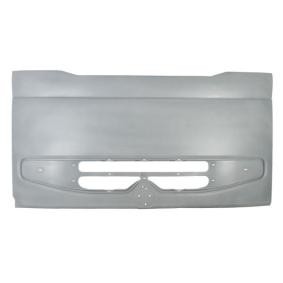 Kühlergrill RVI-G-001