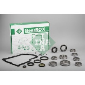 Acquista Kit riparazione, Cambio manuale da INA 462 0057 10 a buon mercato per soli 319,50 €