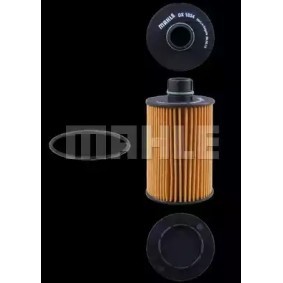 Köp Oljefilter av MAHLE ORIGINAL OX 1034D till det låga priset 605,02 kr