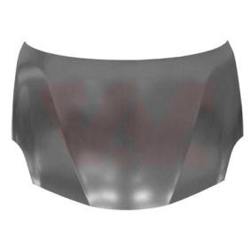Motorhaube 0113660