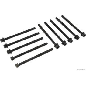 Zylinderkopfschraubensatz J1280319