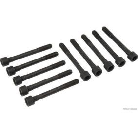 Zylinderkopfschraubensatz J1281024