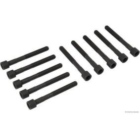 Zylinderkopfschraubensatz J1282020