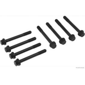 Zylinderkopfschraubensatz J1286003