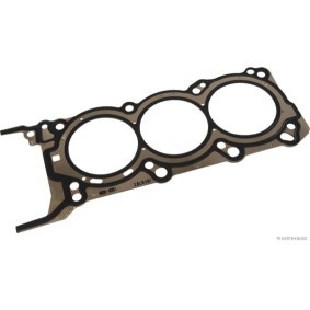 Zylinderkopfdichtung J1250589