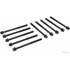 Zylinderkopfschraubensatz J1280522
