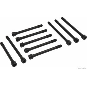 Zylinderkopfschraubensatz J1281041