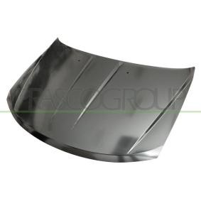 Motorhaube DG8153100
