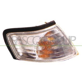 Kotflügel DS7313004