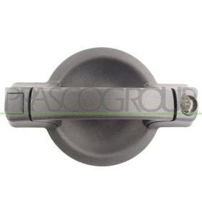 FIAT Türgriff von PRASCO