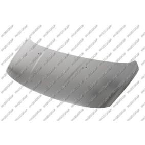 Motorhaube PG5203100