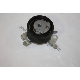 Achetez des Galet tendeur de courroie de distribution AUTOMEGA 300829096 à prix pour 27,55 €