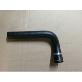 Compre Tubo flexível do radiador da BUGIAD BSP24294 a um preço baixo por 17,75 €