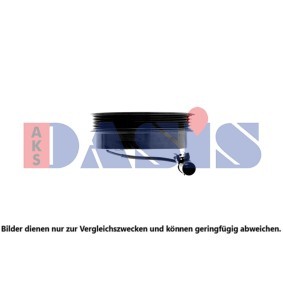 Magnetkupplung, Klimakompressor 851153N