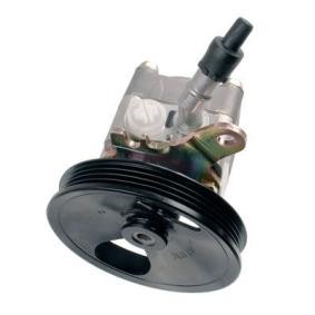 Servopumpe K S01 000 053 für NISSAN