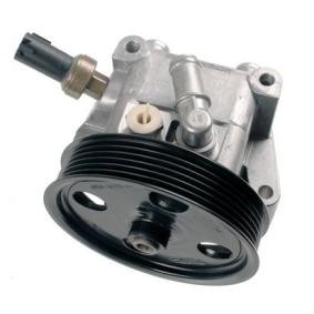 Servopumpe von BOSCH