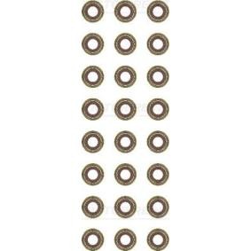 Comprar Juego de juntas, vástago de válvula de REINZ 12-37804-01 a bajo precio de 57,31 €