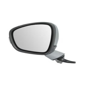 Compre Espelho retrovisor de BLIC online para 508 I SW Van / Carrinha (8E_) a preços moderados