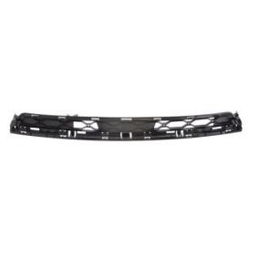 Acquista Griglia paraurti da BLIC 6502-07-6006911P a buon mercato per soli 28,20 €