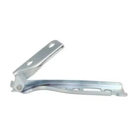 Scharnier, Motorhaube 6802-00-2564454P