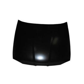 Motorhaube 6803-00-6608280Q