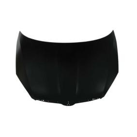 Achetez des Capot BLIC 6803-00-7515281P à prix pour 197,26 €