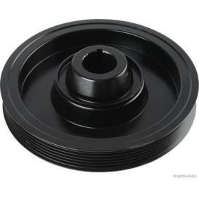Acquista Puleggia cinghia albero a gomiti da HERTH+BUSS JAKOPARTS J1094010 a buon mercato per soli 114,19 €