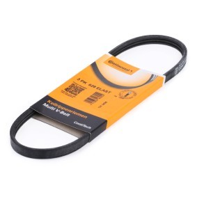 Achetez des Courroie Poly-V CONTITECH 3PK628 ELAST à prix pour 21,12 €