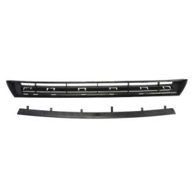 Lüftungsgitter, Stoßfänger 6502-07-0537996P von BLIC günstig für 19,27 € online kaufen
