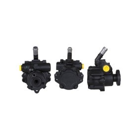 Achetez des Pompe de direction assistée DRI 715520053 à prix pour 101,81 €