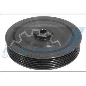 Comprar Polea de cigüeñal de IJS GROUP 17-1041 a bajo precio de 51,52 €