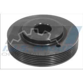 Achetez des Poulie damper (vilebrequin) IJS GROUP 17-1072 à prix pour 54,62 €