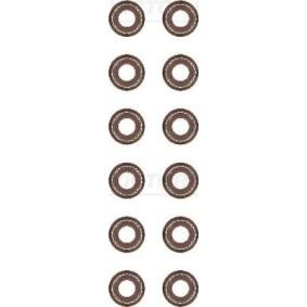 Comprar Juego de juntas, vástago de válvula de REINZ 12-37802-01 a bajo precio de 79,90 €