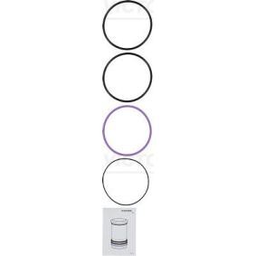 Köp O-ringssats, cylinderfoder av REINZ 15-76926-06 till det låga priset 204,72 kr